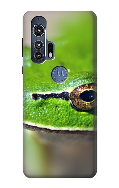 W3845 Green frog Hülle Schutzhülle Taschen und Leder Flip für Motorola Edge+