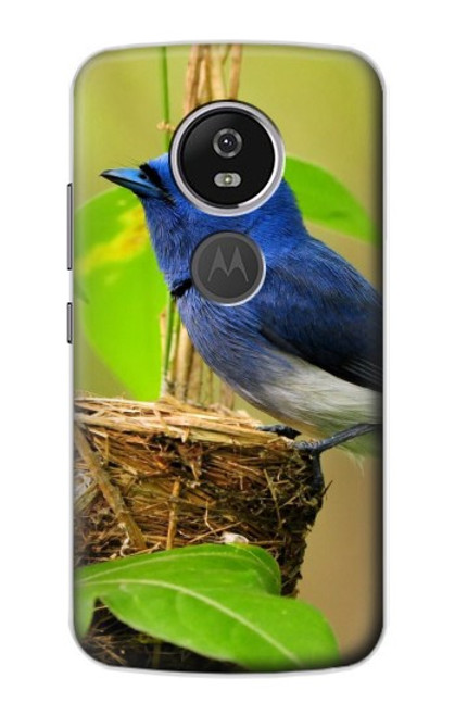 W3839 Bluebird of Happiness Blue Bird Hülle Schutzhülle Taschen und Leder Flip für Motorola Moto E5 Plus