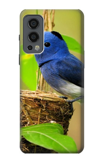 W3839 Bluebird of Happiness Blue Bird Hülle Schutzhülle Taschen und Leder Flip für OnePlus Nord 2 5G