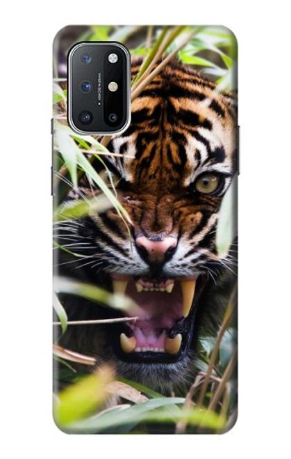 W3838 Barking Bengal Tiger Hülle Schutzhülle Taschen und Leder Flip für OnePlus 8T