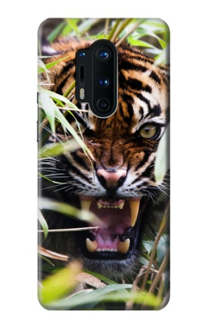 W3838 Barking Bengal Tiger Hülle Schutzhülle Taschen und Leder Flip für OnePlus 8 Pro