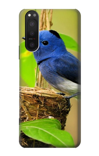 W3839 Bluebird of Happiness Blue Bird Hülle Schutzhülle Taschen und Leder Flip für Sony Xperia 5 II