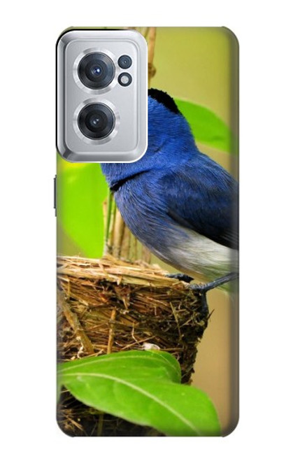 W3839 Bluebird of Happiness Blue Bird Hülle Schutzhülle Taschen und Leder Flip für OnePlus Nord CE 2 5G