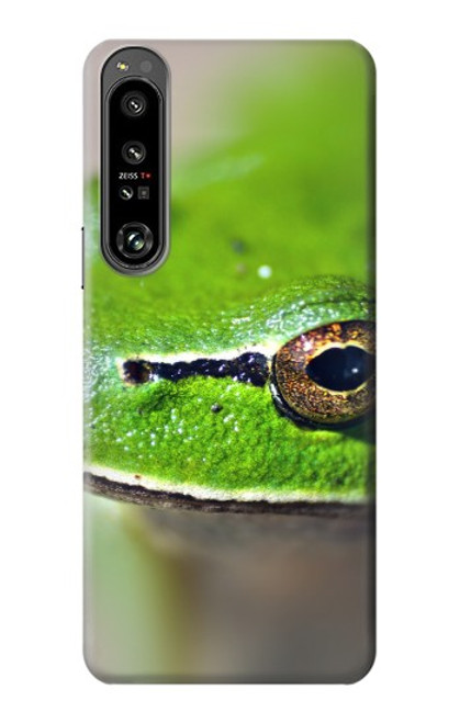 W3845 Green frog Hülle Schutzhülle Taschen und Leder Flip für Sony Xperia 1 IV