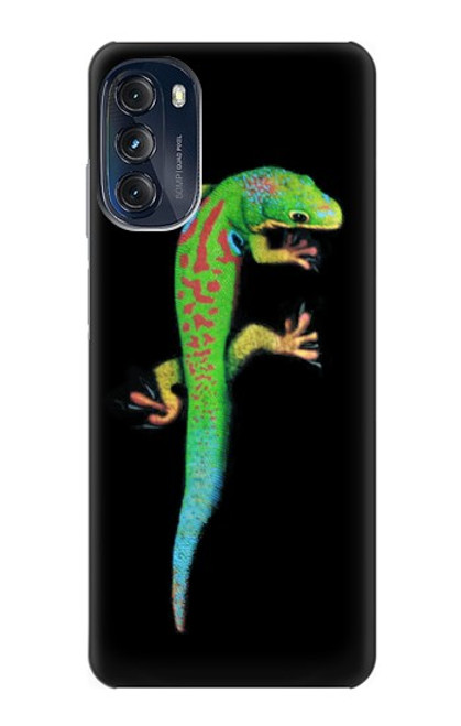 W0125 Green Madagascan Gecko Hülle Schutzhülle Taschen und Leder Flip für Motorola Moto G (2022)