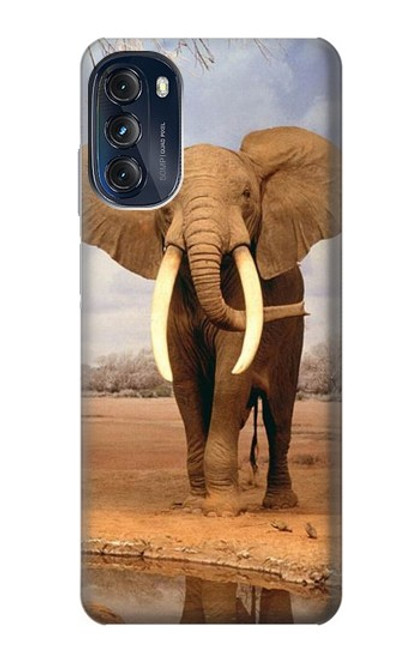 W0310 African Elephant Hülle Schutzhülle Taschen und Leder Flip für Motorola Moto G (2022)