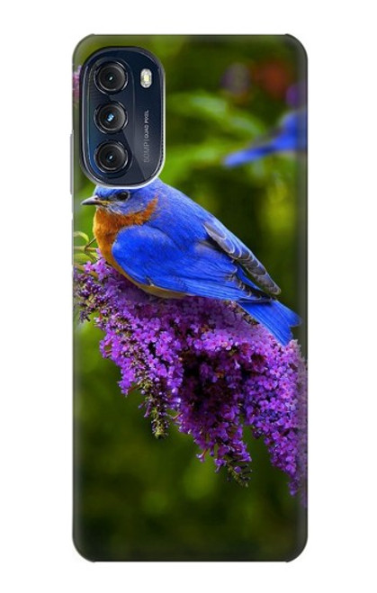 W1565 Bluebird of Happiness Blue Bird Hülle Schutzhülle Taschen und Leder Flip für Motorola Moto G (2022)