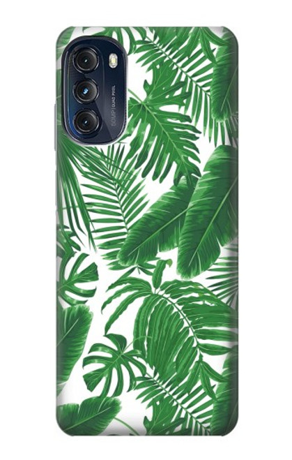 W3457 Paper Palm Monstera Hülle Schutzhülle Taschen und Leder Flip für Motorola Moto G (2022)