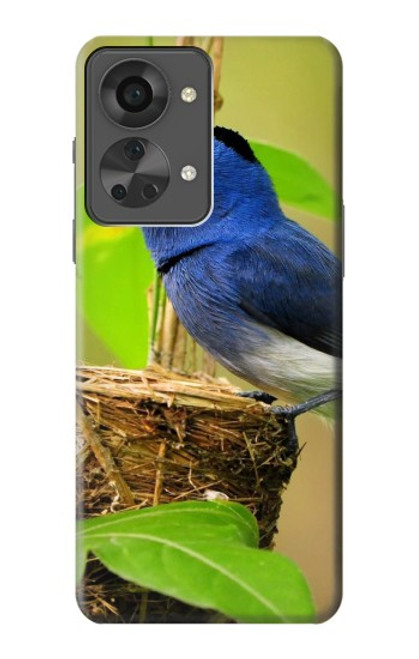 W3839 Bluebird of Happiness Blue Bird Hülle Schutzhülle Taschen und Leder Flip für OnePlus Nord 2T