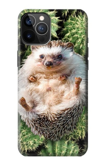 W3863 Pygmy Hedgehog Dwarf Hedgehog Paint Hülle Schutzhülle Taschen und Leder Flip für iPhone 12, iPhone 12 Pro