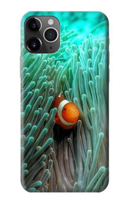 W3893 Ocellaris clownfish Hülle Schutzhülle Taschen und Leder Flip für iPhone 11 Pro Max