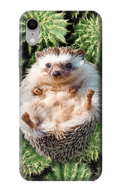 W3863 Pygmy Hedgehog Dwarf Hedgehog Paint Hülle Schutzhülle Taschen und Leder Flip für iPhone XR