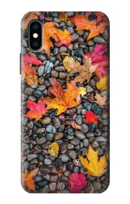 W3889 Maple Leaf Hülle Schutzhülle Taschen und Leder Flip für iPhone X, iPhone XS