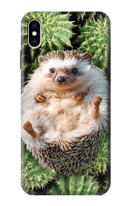 W3863 Pygmy Hedgehog Dwarf Hedgehog Paint Hülle Schutzhülle Taschen und Leder Flip für iPhone XS Max