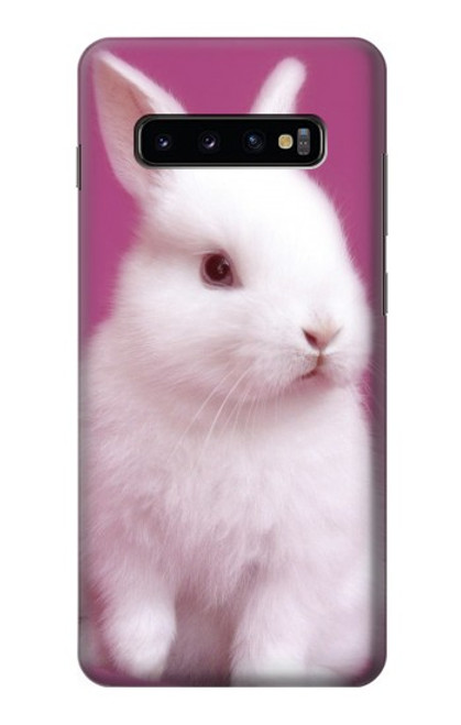 W3870 Cute Baby Bunny Hülle Schutzhülle Taschen und Leder Flip für Samsung Galaxy S10 Plus