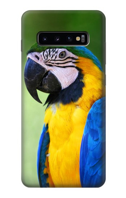 W3888 Macaw Face Bird Hülle Schutzhülle Taschen und Leder Flip für Samsung Galaxy S10 Plus