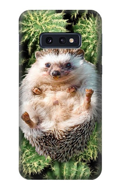 W3863 Pygmy Hedgehog Dwarf Hedgehog Paint Hülle Schutzhülle Taschen und Leder Flip für Samsung Galaxy S10e