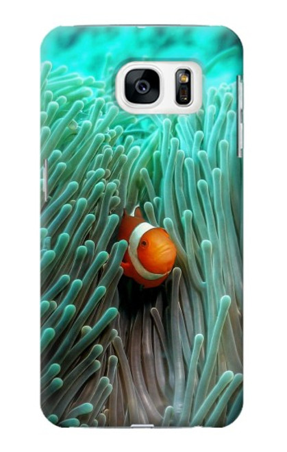 W3893 Ocellaris clownfish Hülle Schutzhülle Taschen und Leder Flip für Samsung Galaxy S7