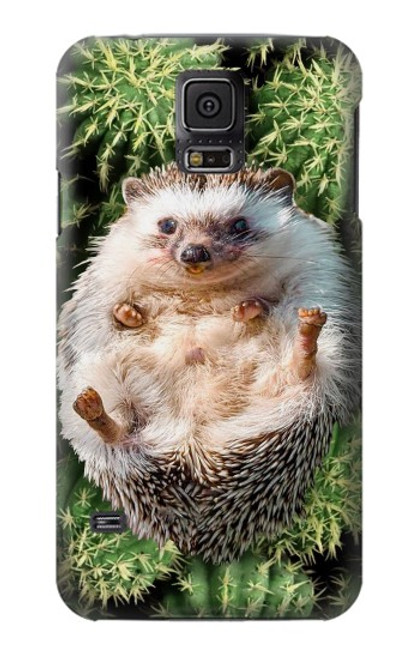 W3863 Pygmy Hedgehog Dwarf Hedgehog Paint Hülle Schutzhülle Taschen und Leder Flip für Samsung Galaxy S5