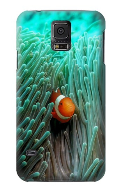 W3893 Ocellaris clownfish Hülle Schutzhülle Taschen und Leder Flip für Samsung Galaxy S5