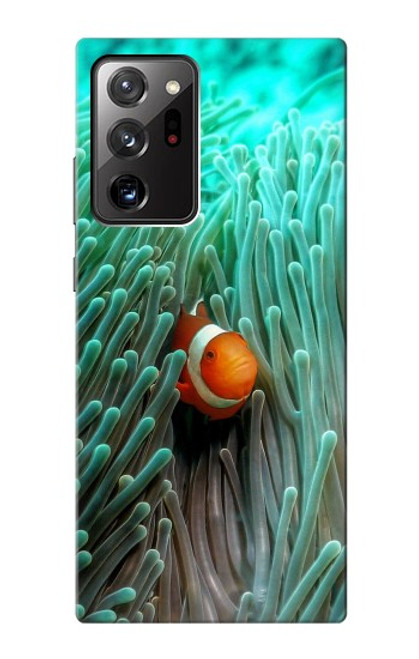 W3893 Ocellaris clownfish Hülle Schutzhülle Taschen und Leder Flip für Samsung Galaxy Note 20 Ultra, Ultra 5G