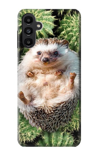 W3863 Pygmy Hedgehog Dwarf Hedgehog Paint Hülle Schutzhülle Taschen und Leder Flip für Samsung Galaxy A13 5G