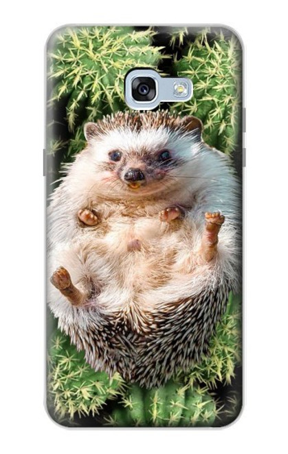 W3863 Pygmy Hedgehog Dwarf Hedgehog Paint Hülle Schutzhülle Taschen und Leder Flip für Samsung Galaxy A5 (2017)