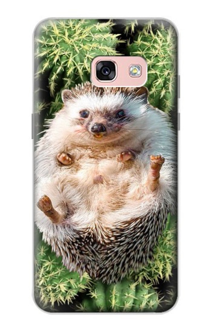 W3863 Pygmy Hedgehog Dwarf Hedgehog Paint Hülle Schutzhülle Taschen und Leder Flip für Samsung Galaxy A3 (2017)