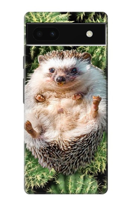 W3863 Pygmy Hedgehog Dwarf Hedgehog Paint Hülle Schutzhülle Taschen und Leder Flip für Google Pixel 6a