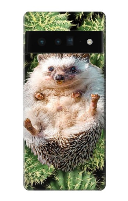 W3863 Pygmy Hedgehog Dwarf Hedgehog Paint Hülle Schutzhülle Taschen und Leder Flip für Google Pixel 6 Pro