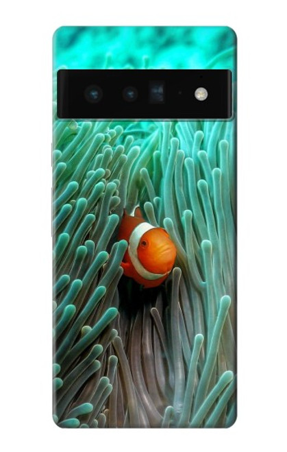 W3893 Ocellaris clownfish Hülle Schutzhülle Taschen und Leder Flip für Google Pixel 6 Pro