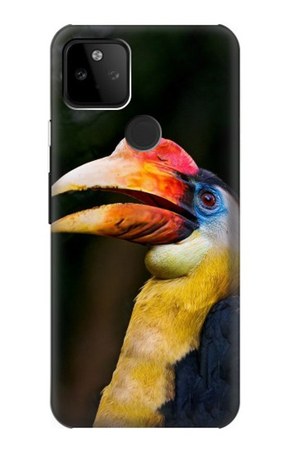 W3876 Colorful Hornbill Hülle Schutzhülle Taschen und Leder Flip für Google Pixel 5A 5G