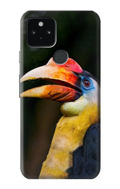 W3876 Colorful Hornbill Hülle Schutzhülle Taschen und Leder Flip für Google Pixel 5