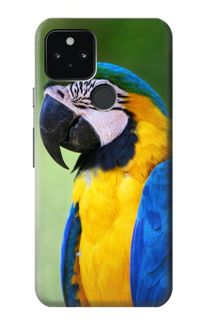 W3888 Macaw Face Bird Hülle Schutzhülle Taschen und Leder Flip für Google Pixel 5