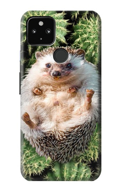 W3863 Pygmy Hedgehog Dwarf Hedgehog Paint Hülle Schutzhülle Taschen und Leder Flip für Google Pixel 4a 5G