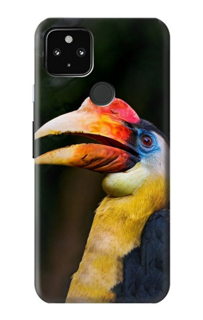 W3876 Colorful Hornbill Hülle Schutzhülle Taschen und Leder Flip für Google Pixel 4a 5G