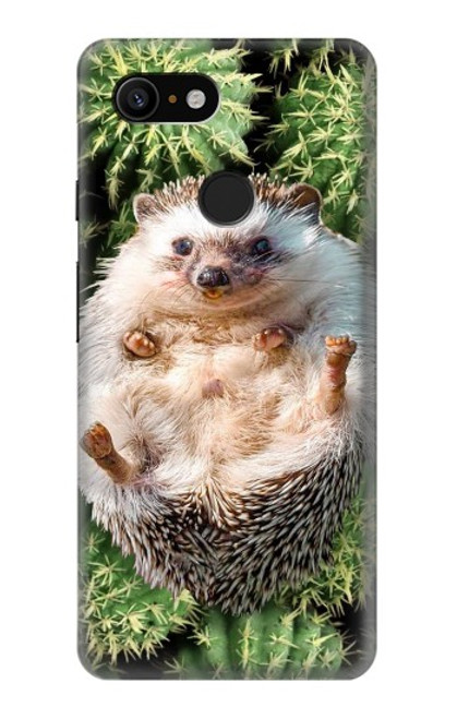 W3863 Pygmy Hedgehog Dwarf Hedgehog Paint Hülle Schutzhülle Taschen und Leder Flip für Google Pixel 3