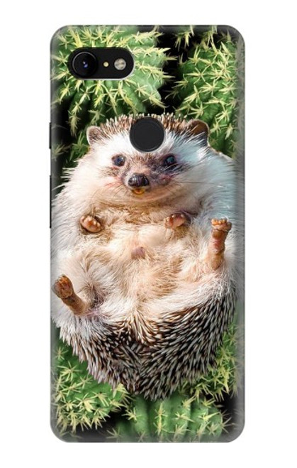 W3863 Pygmy Hedgehog Dwarf Hedgehog Paint Hülle Schutzhülle Taschen und Leder Flip für Google Pixel 3 XL