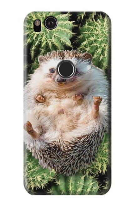 W3863 Pygmy Hedgehog Dwarf Hedgehog Paint Hülle Schutzhülle Taschen und Leder Flip für Google Pixel 2