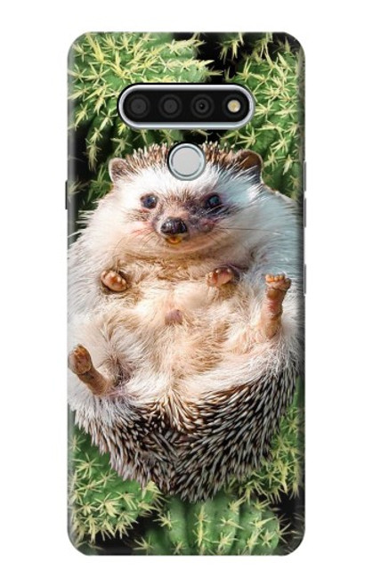 W3863 Pygmy Hedgehog Dwarf Hedgehog Paint Hülle Schutzhülle Taschen und Leder Flip für LG Stylo 6