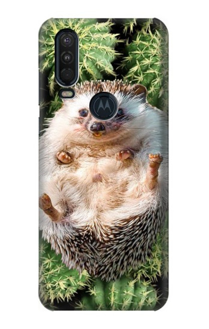 W3863 Pygmy Hedgehog Dwarf Hedgehog Paint Hülle Schutzhülle Taschen und Leder Flip für Motorola One Action (Moto P40 Power)