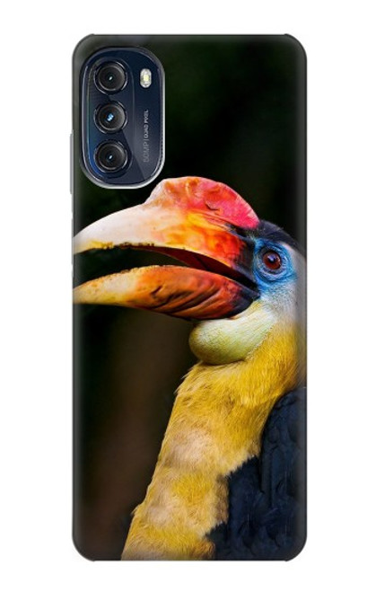 W3876 Colorful Hornbill Hülle Schutzhülle Taschen und Leder Flip für Motorola Moto G (2022)