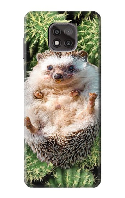 W3863 Pygmy Hedgehog Dwarf Hedgehog Paint Hülle Schutzhülle Taschen und Leder Flip für Motorola Moto G Power (2021)