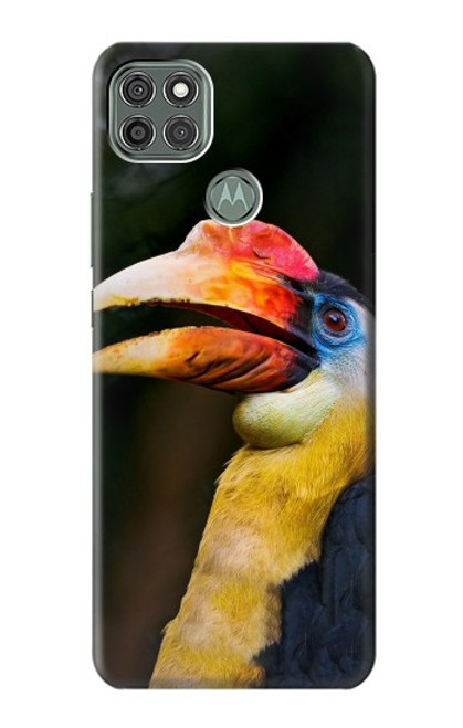 W3876 Colorful Hornbill Hülle Schutzhülle Taschen und Leder Flip für Motorola Moto G9 Power