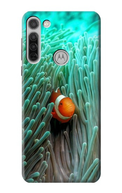 W3893 Ocellaris clownfish Hülle Schutzhülle Taschen und Leder Flip für Motorola Moto G8