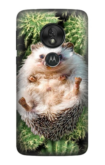 W3863 Pygmy Hedgehog Dwarf Hedgehog Paint Hülle Schutzhülle Taschen und Leder Flip für Motorola Moto G7 Play