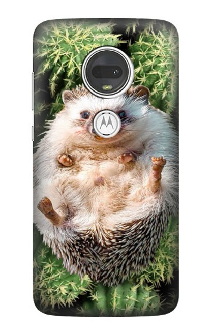 W3863 Pygmy Hedgehog Dwarf Hedgehog Paint Hülle Schutzhülle Taschen und Leder Flip für Motorola Moto G7, Moto G7 Plus