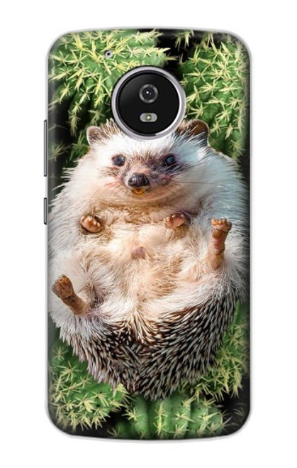 W3863 Pygmy Hedgehog Dwarf Hedgehog Paint Hülle Schutzhülle Taschen und Leder Flip für Motorola Moto G5