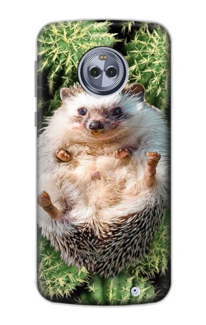 W3863 Pygmy Hedgehog Dwarf Hedgehog Paint Hülle Schutzhülle Taschen und Leder Flip für Motorola Moto X4