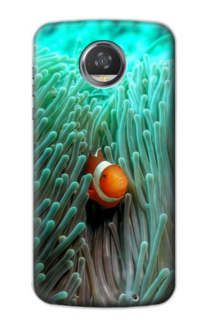 W3893 Ocellaris clownfish Hülle Schutzhülle Taschen und Leder Flip für Motorola Moto Z2 Play, Z2 Force